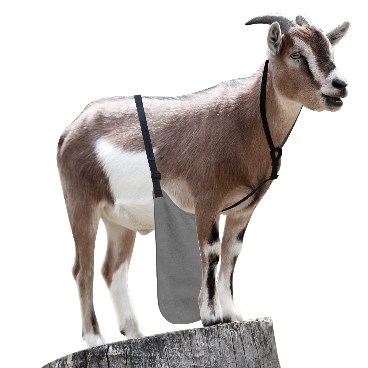 Amazon.com : Chuanke Anti Breeding Buck Apron Anti Mating